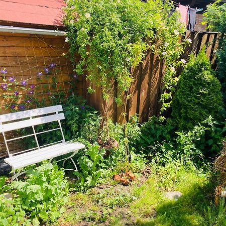 Ferienhaus Am Wasser Im Gruenen Zecherin Εξωτερικό φωτογραφία