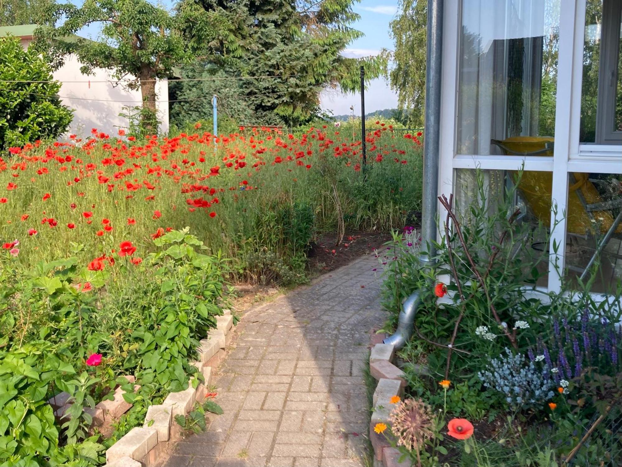 Ferienhaus Am Wasser Im Gruenen Zecherin Εξωτερικό φωτογραφία